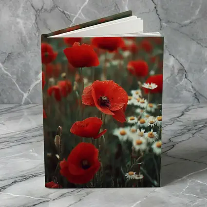 Red Poppies And Daisies Field Overcast Sky