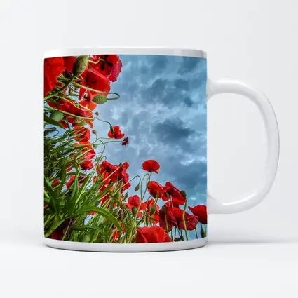 Red Poppies Field Against Cloudy Sky