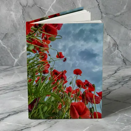 Red Poppies Field Against Cloudy Sky
