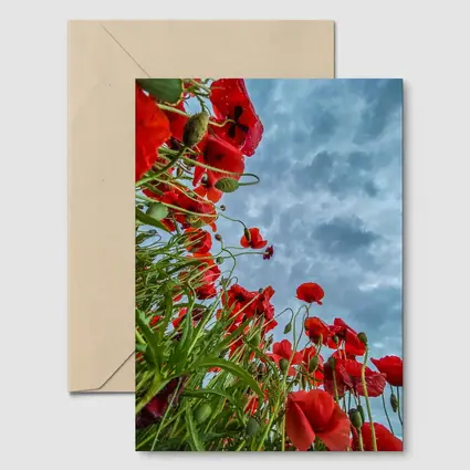 Red Poppies Field Against Cloudy Sky