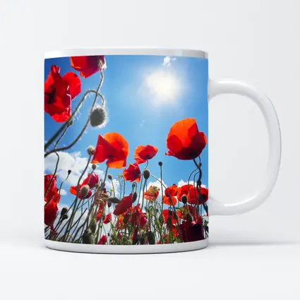 Red Poppies Field Against Sunny Blue Sky