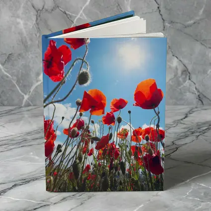 Red Poppies Field Against Sunny Blue Sky