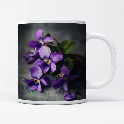 Purple Violet Flowers On Gray Background