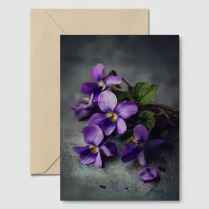 Purple Violet Flowers On Gray Background