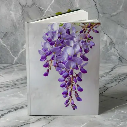 Wisteria Purple Flowers Hanging Gray Background