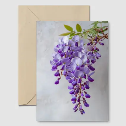 Wisteria Purple Flowers Hanging Gray Background