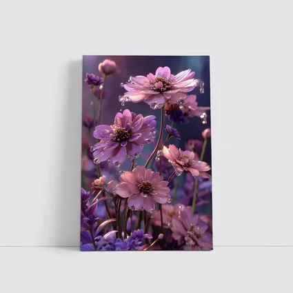 Pink Purple Cosmos Flowers With Water Droplets