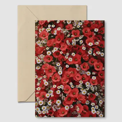 Red Poppies and White Daisies Flower Field