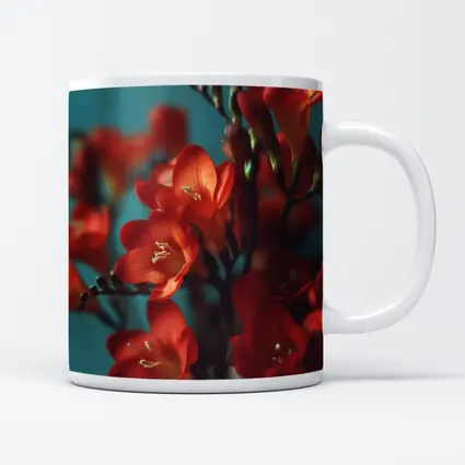 Red Freesia Flowers Teal Background Botanical