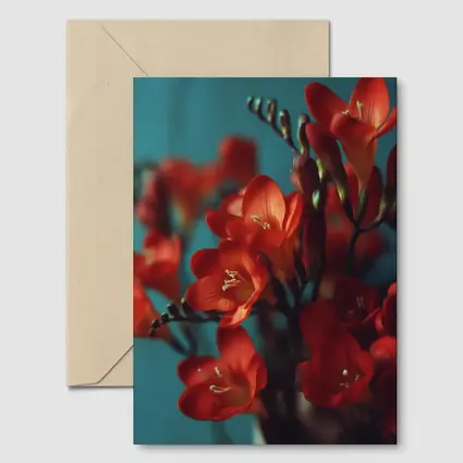 Red Freesia Flowers Teal Background Botanical