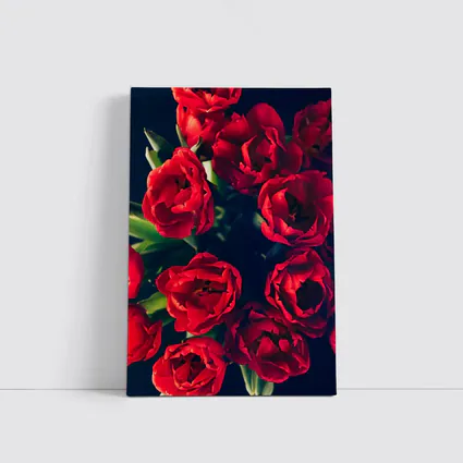 Red Tulips Bouquet Dark Background Floral