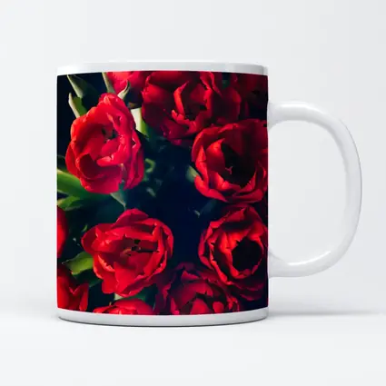 Red Tulips Bouquet Dark Background Floral