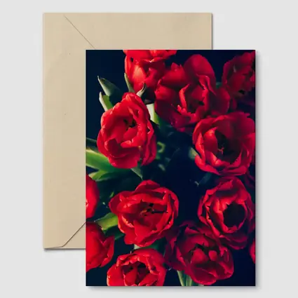 Red Tulips Bouquet Dark Background Floral