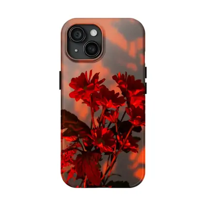 Red Chrysanthums Glowing Warm Sunset Wall