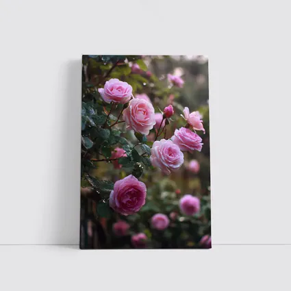 Pink Roses With Rain Drops Garden