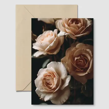 Peach Roses Dark Moody Floral Background