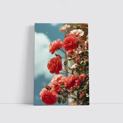 Red Roses Climbing Against Blue Sky