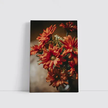 Red Chrysanthemums Bouquet Warm Dark Background