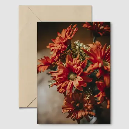 Red Chrysanthemums Bouquet Warm Dark Background