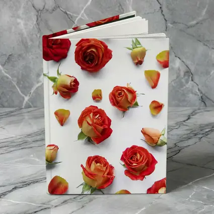 Red Roses and Petals White Background
