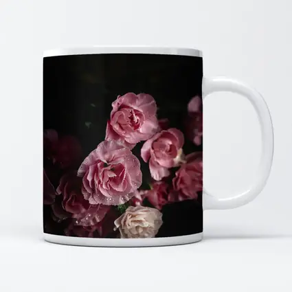 Pink Roses With Water Drops Dark Background