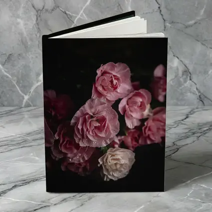 Pink Roses With Water Drops Dark Background