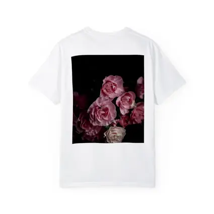 Pink Roses With Water Drops Dark Background