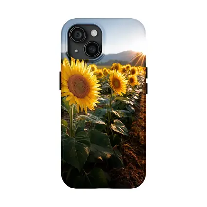 Sunflower Field Golden Hour Mountain Backdrop
