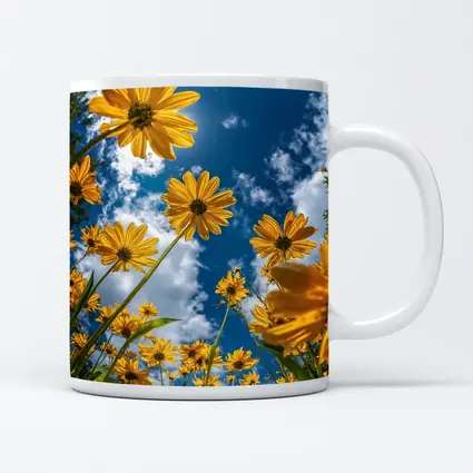 Yellow Daisies Against Blue Summer Sky