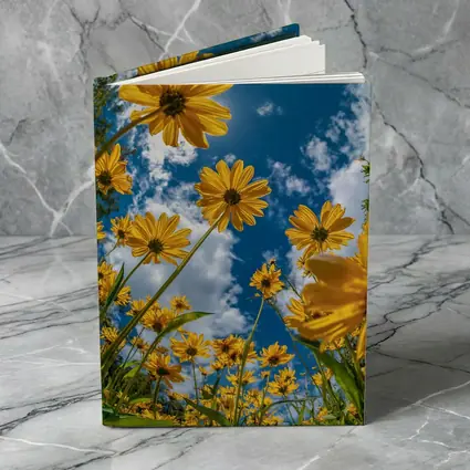 Yellow Daisies Against Blue Summer Sky