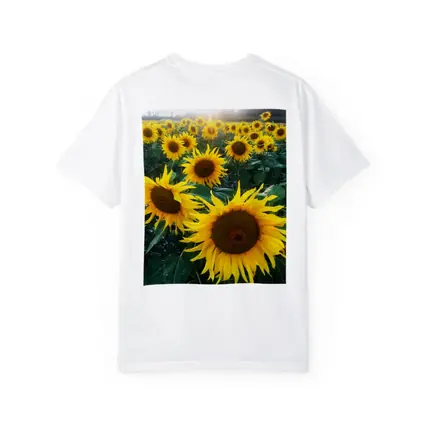 Sunflower Field Golden Summer Light