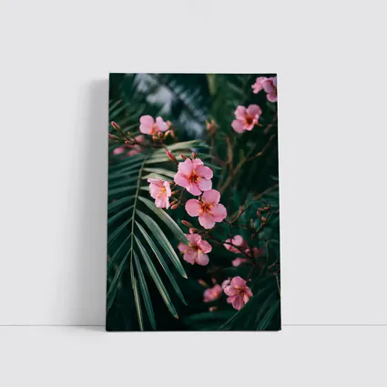 Pink Oleander Flowers Among Green Palm Leaves