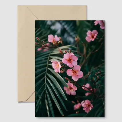 Pink Oleander Flowers Among Green Palm Leaves