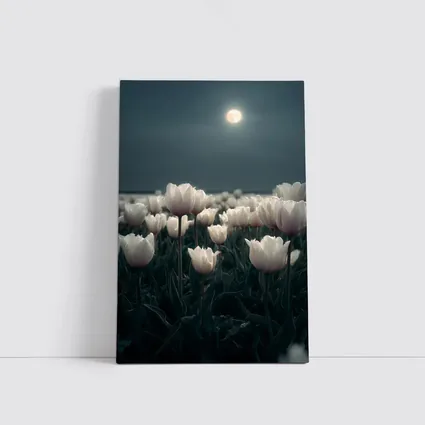 White Tulips Field Under Full Moon