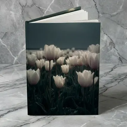 White Tulips Field Under Full Moon