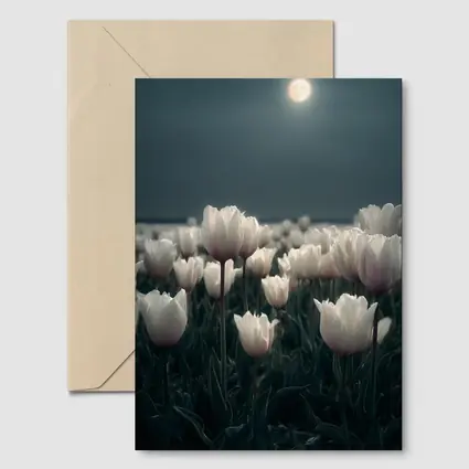 White Tulips Field Under Full Moon