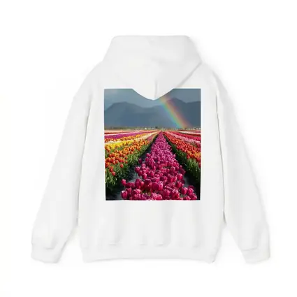 Tulip Field Rainbow Mountains Colorful Landscape