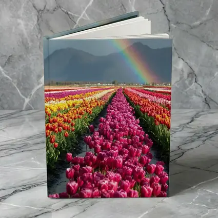 Tulip Field Rainbow Mountains Colorful Landscape