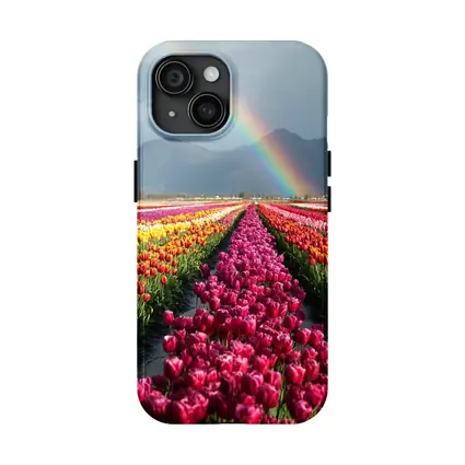Tulip Field Rainbow Mountains Colorful Landscape
