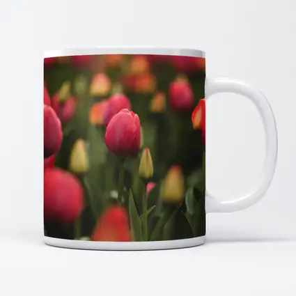 Pink Tulips Field Soft Green Background