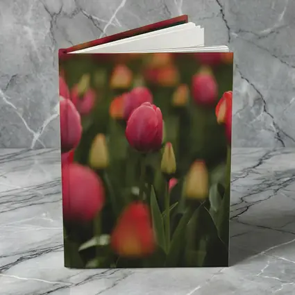 Pink Tulips Field Soft Green Background