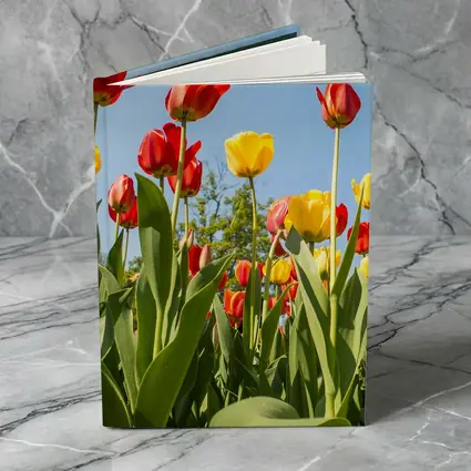 Red Yellow Tulips Against Blue Sky