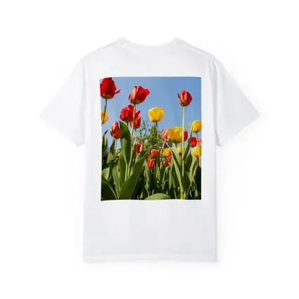 Red Yellow Tulips Against Blue Sky