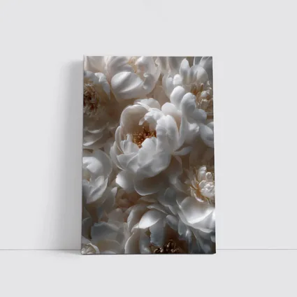 White Peony Flowers Soft Floral Close Up