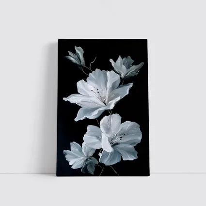 White Azalea Flowers On Black Background