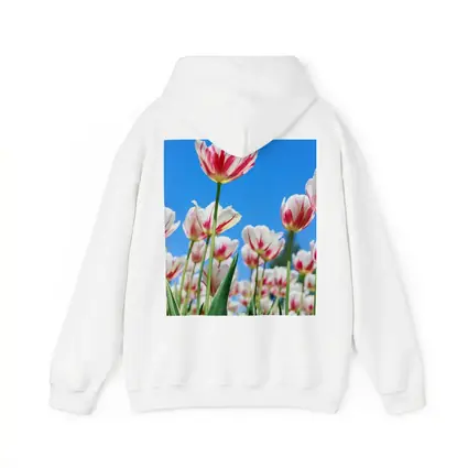 Red White Tulips Against Blue Sky