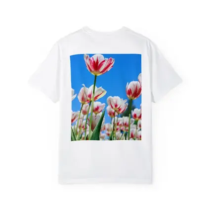 Red White Tulips Against Blue Sky