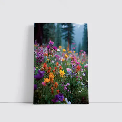 Colorful Wildflowers Meadow Forest Mountain Background