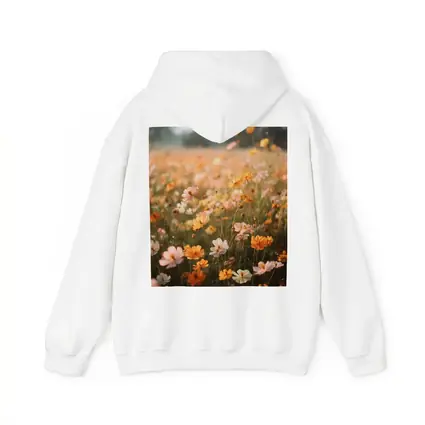 Cosmos Wildflower Field Soft Golden Light