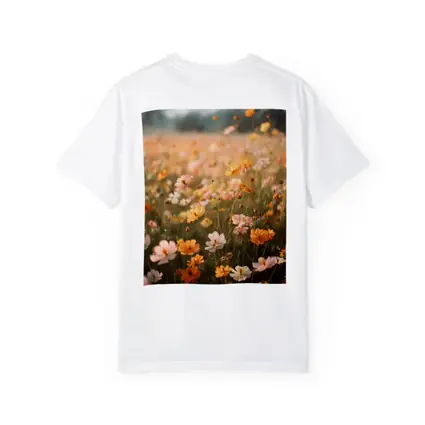 Cosmos Wildflower Field Soft Golden Light
